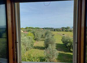 20240630_192808.jpeg 20240630_192808.jpeg